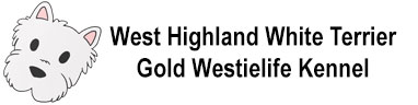 West Highland White Terrier – Kennel – Gold Westielife Kennel